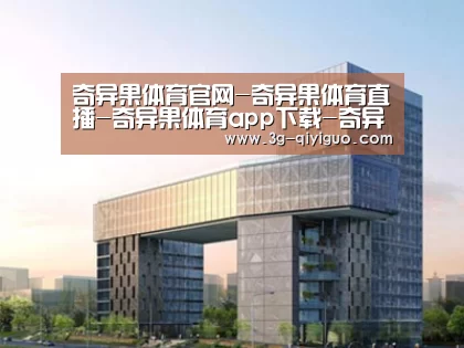 案例展示四